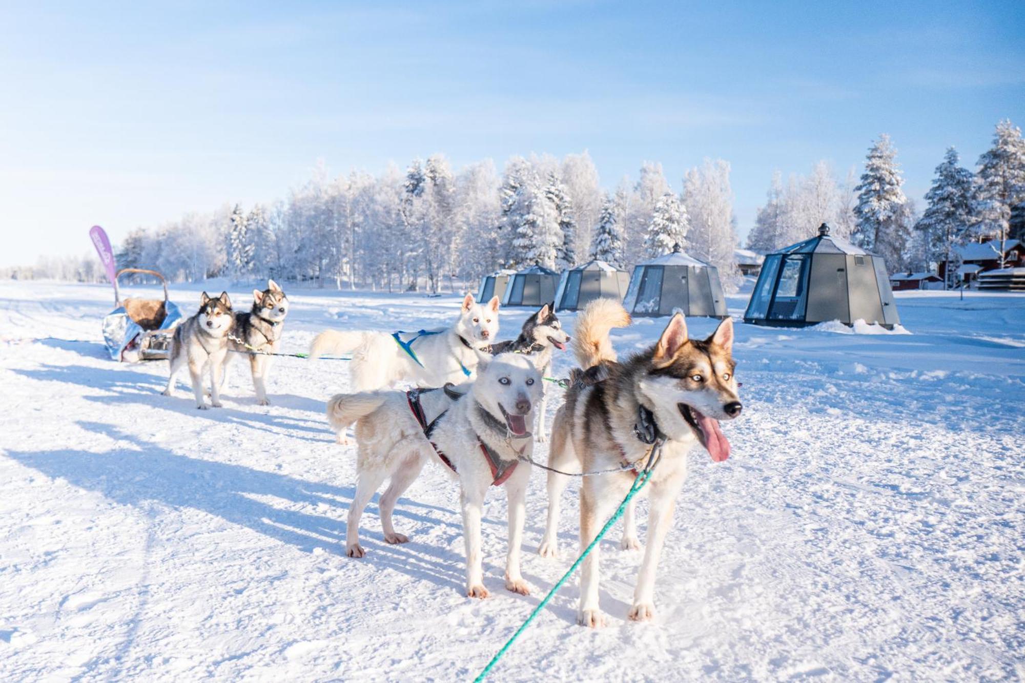 Arctic Guesthouse & Igloos Рануа Екстериор снимка